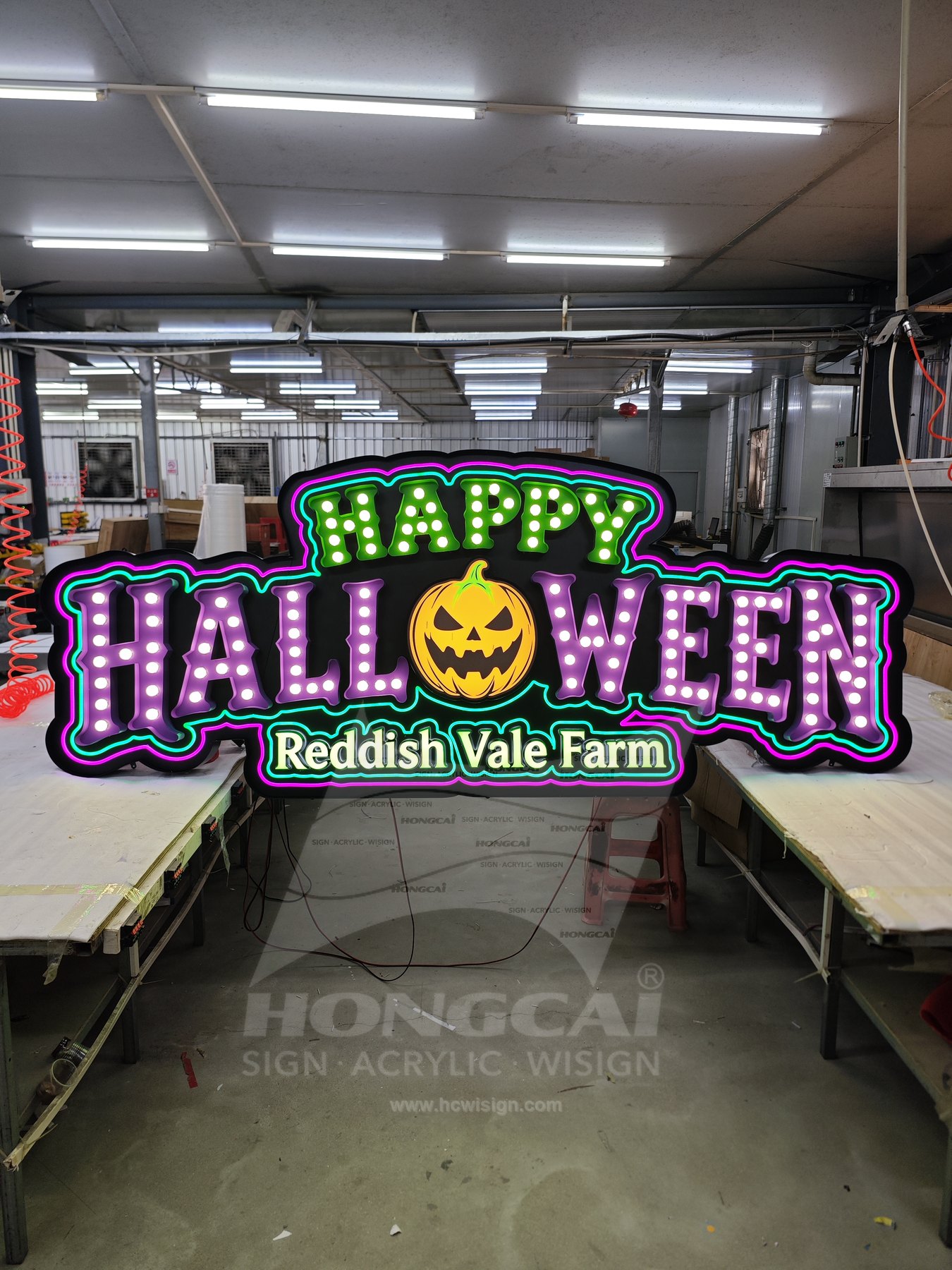 Reddish Valley Farm 万圣节灯泡招牌 — 工厂制作、结构细节或工艺检查图
