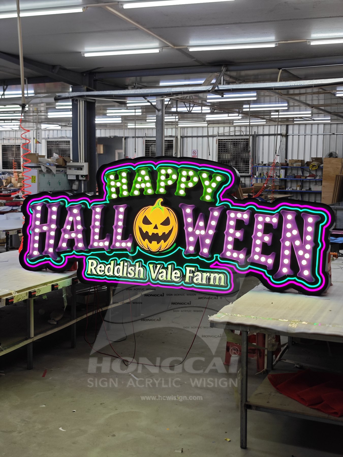 Reddish Valley Farm 万圣节灯泡招牌 — 工厂制作、结构细节或工艺检查图